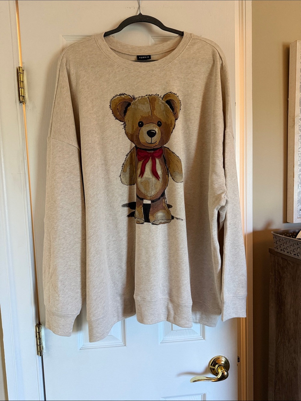 torrid Beige Teddy Graphic Crewneck Sweater